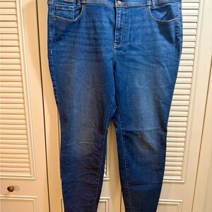 Lane Bryant Women's Classic Blue Skinny Jeans